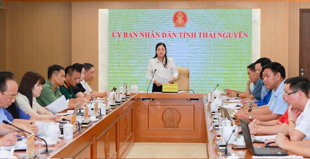 Tăng tốc chuẩn bị Festival Trà Quốc tế năm 2026 - Ảnh 1.