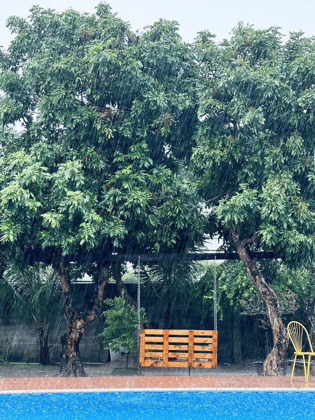 Cơ ngơi ở TP.HCM của Mỹ T&acirc;m- Ảnh 9.