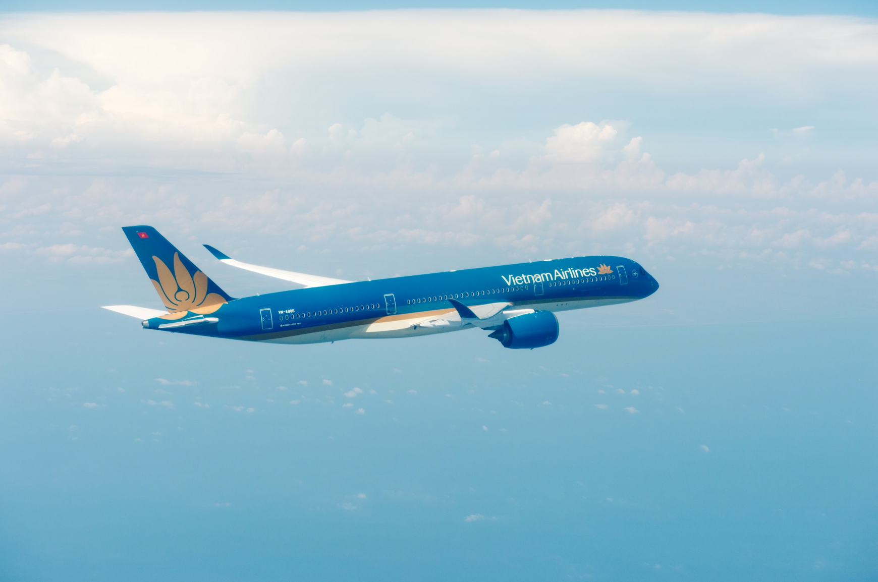 &rlm;Vietnam Airlines hai năm li&ecirc;n tiếp trong Top 50 doanh nghiệp đ&oacute;ng g&oacute;p ng&acirc;n s&aacute;ch lớn nhất Việt Nam&rlm; - Ảnh 1.