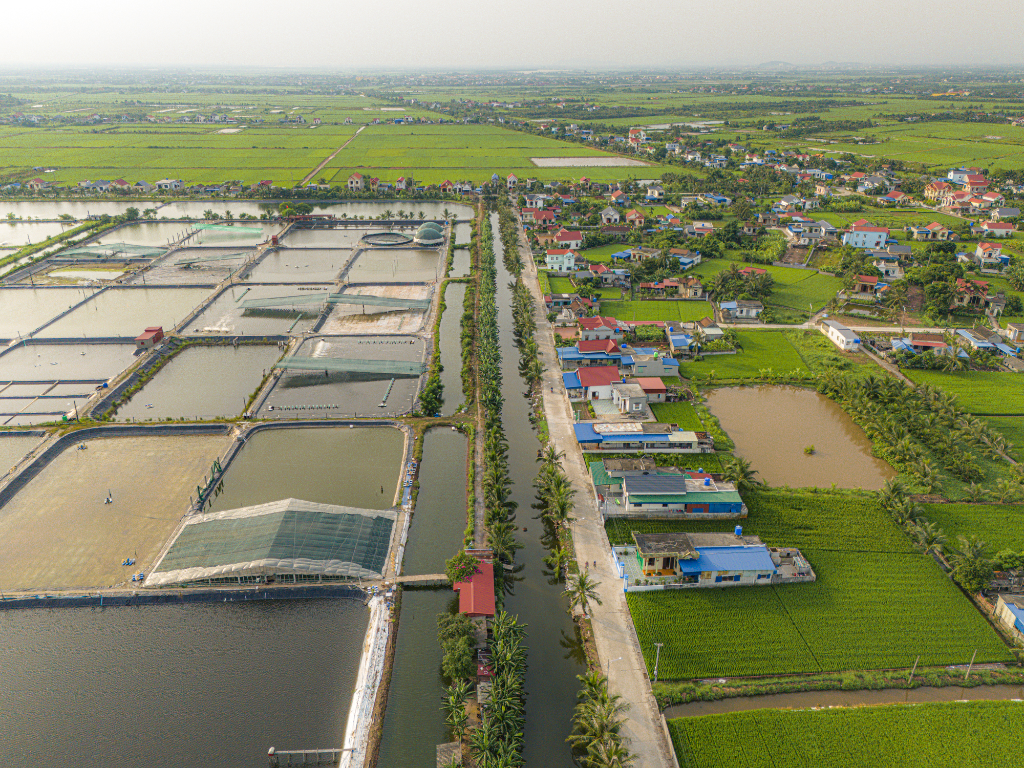 Hải Phòng sắp có thêm 2 siêu dự án khu công nghiệp gần 6.800 tỷ đồng- Ảnh 1.