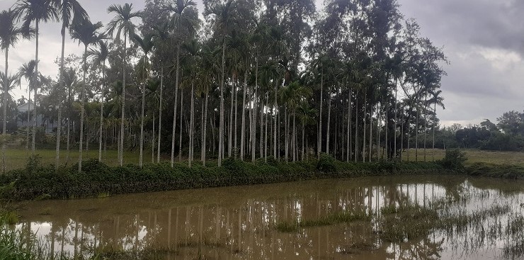 Quảng Nam k&ecirc;u gọi đầu tư dự &aacute;n Khu du lịch sinh th&aacute;i v&agrave; nghỉ dưỡng 1.440 tỷ đồng