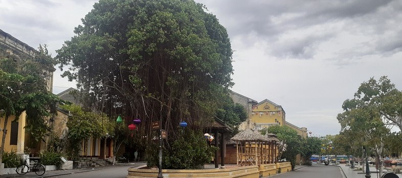 Mua nhà đất tại Quảng Nam cần lưu ý những khu vực nào?
