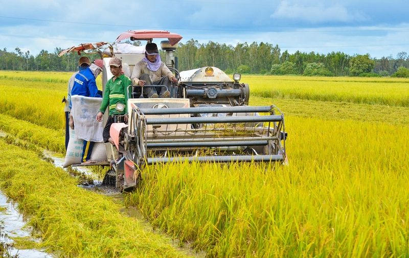 2 thay đổi lớn khi mua bán đất nông nghiệp từ 1/8 người dân cần biết- Ảnh 1.