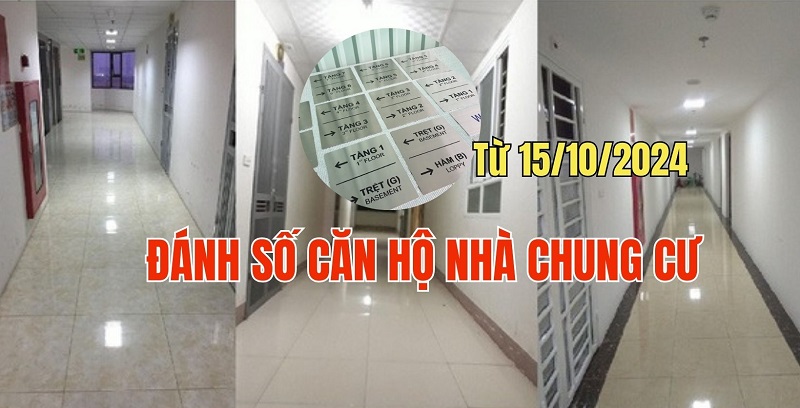 Từ 15/10/2024, quy định về đánh số căn hộ chung cư thế nào?- Ảnh 1.