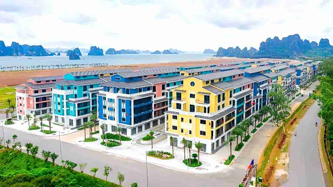 CEO Group sắp phát hành 25,7 triệu cổ phiếu trả cổ tức- Ảnh 1.