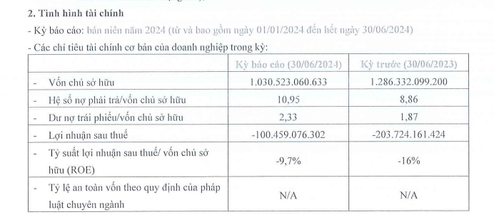 Chủ đầu tư Aqua City lỗ hơn 100 tỷ đồng- Ảnh 1.