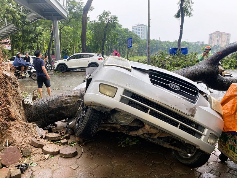 Công ty bảo hiểm đẩy nhanh giám định, bồi thường cho khách hàng bị thiệt hại do bão, lũ- Ảnh 1.