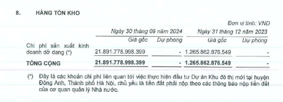 Chủ dự án Vinhomes Cổ Loa: Tài sản tăng 1 tỷ USD sau một quý- Ảnh 1.