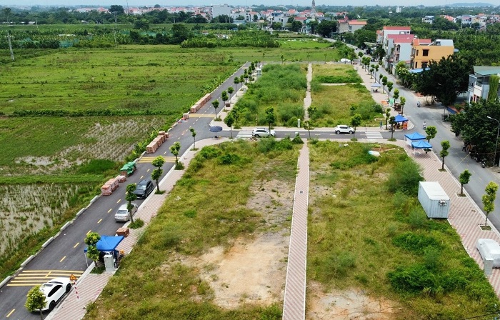 Thanh Oai đấu gi&aacute; 25 thửa đất, gi&aacute; khởi điểm 5,3 triệu đồng/m2- Ảnh 1.