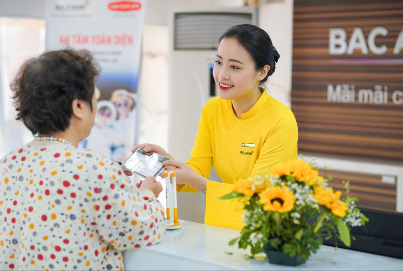 Bac A Bank vẫn muốn phát hành thêm hàng trăm triệu cổ phiếu- Ảnh 1.