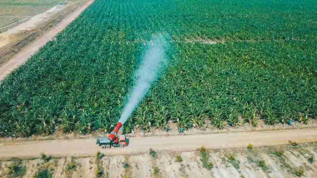 HAGL Agrico sắp nhận 42.500 ha đất cao su, cọ dầu, hết nợ với Hoàng Anh Gia Lai- Ảnh 1.