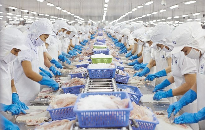 2.000 lao động tại Đồng Th&aacute;p đ&oacute;n nhận tin vui- Ảnh 1.