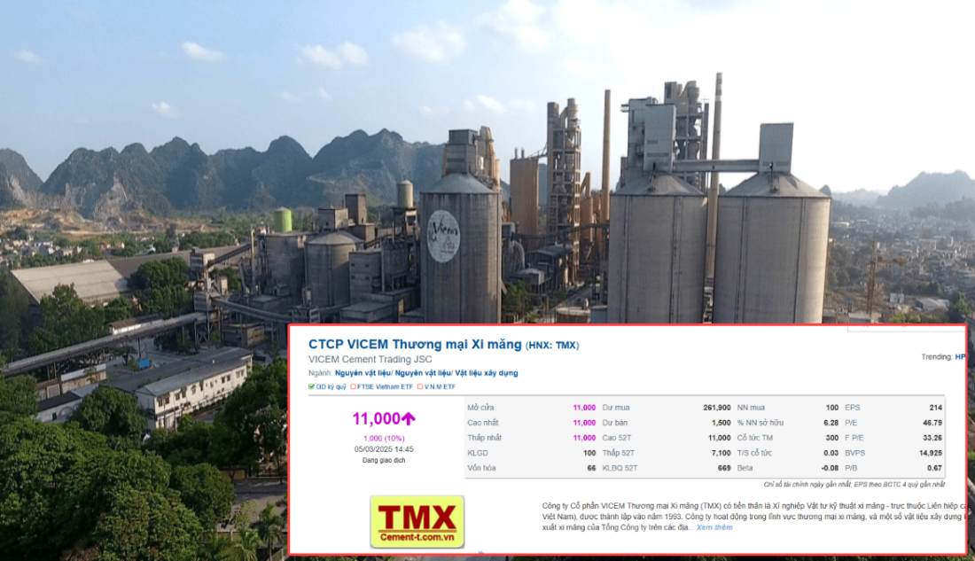 Sếp công ty xi măng bị tạm đình chỉ để điều tra, cổ phiếu vẫn tăng hết biên độ- Ảnh 1.