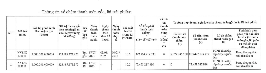 Trước thềm ĐHCĐ 2025: Novaland đang xoay chuyển thế cục ra sao?- Ảnh 2.