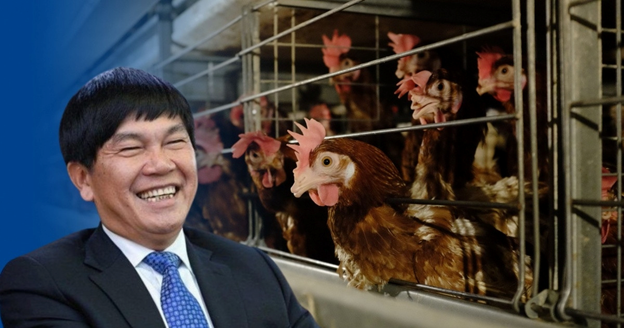 Bất ngờ: &ldquo;Vua th&eacute;p&rdquo; lập kỷ lục b&aacute;n&hellip; G&Agrave; GIỐNG, vừa xuất l&ocirc; h&agrave;ng lớn v&agrave;o B&igrave;nh Thuận- Ảnh 1.