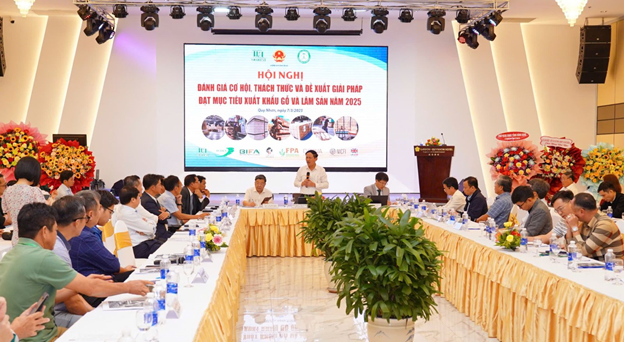 Bình Định thu hơn 1 tỷ USD nhờ xuất khẩu một mặt hàng sang Mỹ, EU, Australia, Nhật Bản- Ảnh 1.