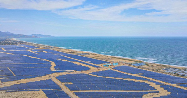 Hai lãnh đạo BCG Energy rời ghế- Ảnh 1.