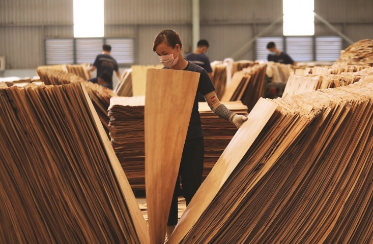 Trong 2 tháng, Mỹ chi hơn 1,3 tỷ USD để gom một mặt hàng của Việt Nam phục vụ nhu cầu trong nước- Ảnh 1.