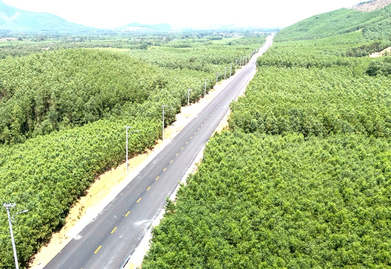 Khánh thành con đường xuyên rừng núi gần 1.200 tỷ tại Bình Định- Ảnh 1.