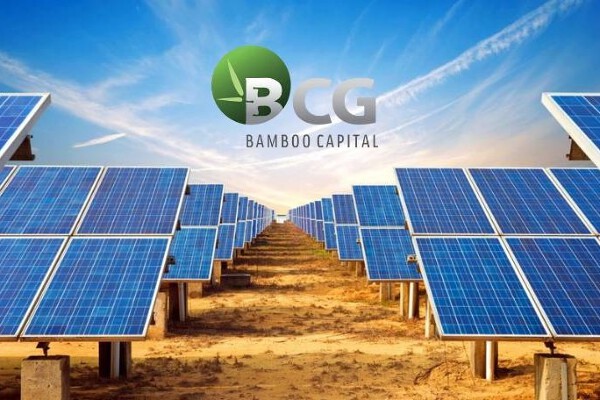 Cổ phiếu Bamboo Capital chính thức bị hạn chế giao dịch từ 27/5- Ảnh 1.