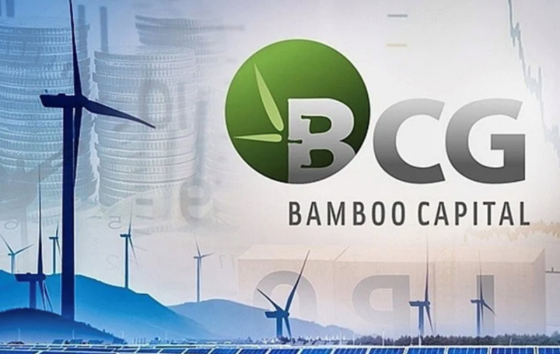 Phó Chủ tịch Điều hành Bamboo Capital từ nhiệm- Ảnh 1.