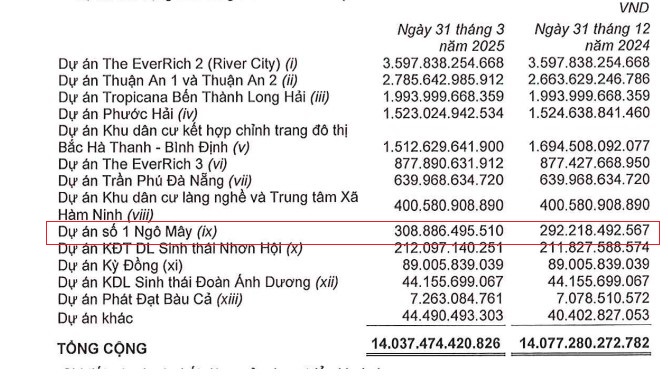 Phát Đạt muốn bán công ty con vốn nghìn tỷ ở Bình Định- Ảnh 2.