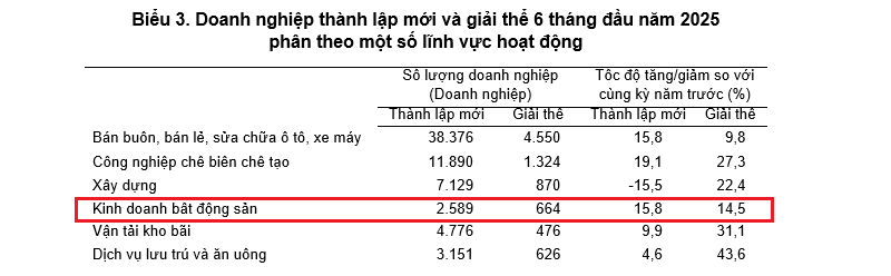 Gần 2.600 doanh nghiệp kinh doanh bất động sản thành lập mới trong nửa đầu năm 2025- Ảnh 2.