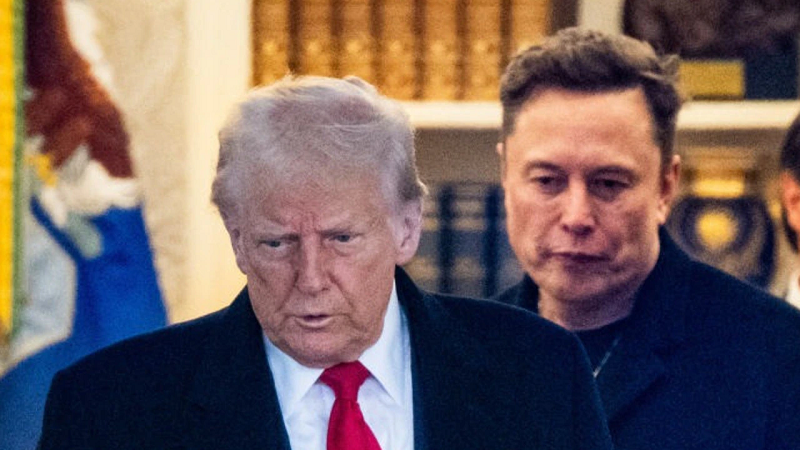 Elon hi88.com - hi88.win thông báo lập đảng mới- Ảnh 1.