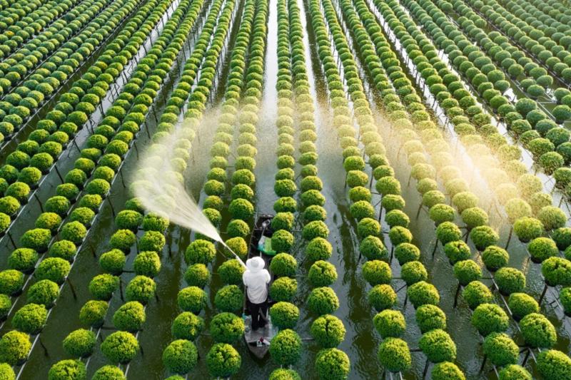 Doanh nghiệp Brazil – Nhật muốn đưa Việt Nam thành “cứ điểm” phát triển nông nghiệp công nghệ cao ở châu Á- Ảnh 1.