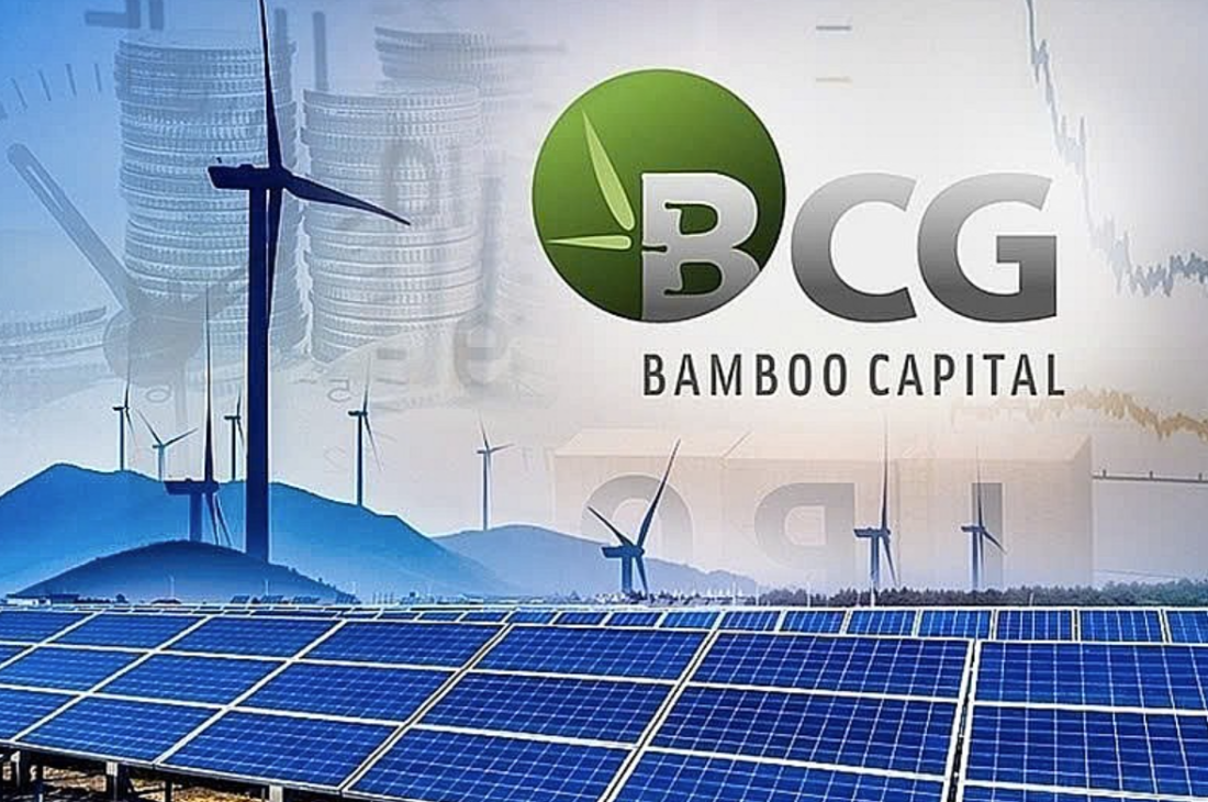 Bamboo Capital xin hoãn ĐHĐCĐ thường niên vì chưa hoàn tất báo cáo tài chính- Ảnh 1.