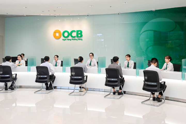 Một lãnh đạo cấp cao của OCB xin thôi nhiệm- Ảnh 1.