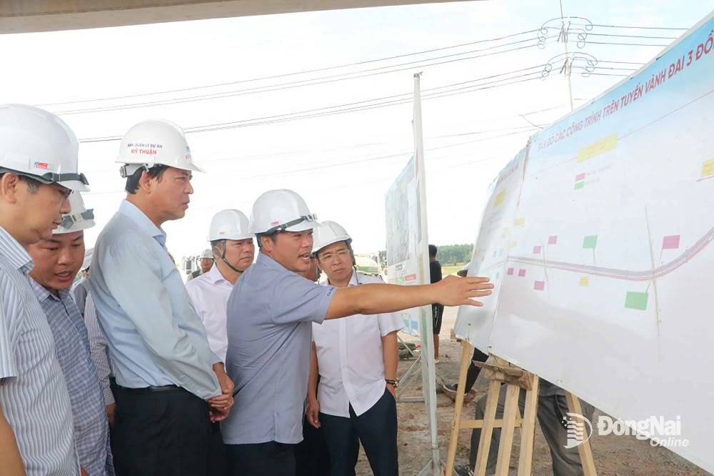 Sắp kết nối với TP.HCM bằng cầu lớn, những ai có đất Nhơn Trạch sắp đón ngày vui- Ảnh 1.