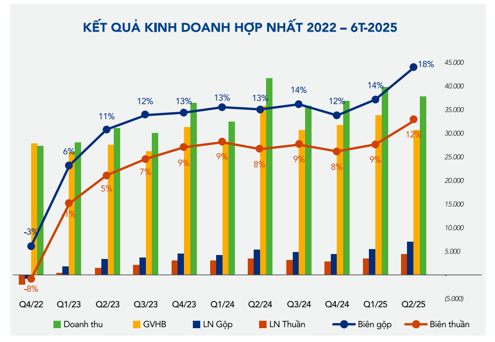 “Vua thép” Hòa Phát gánh khoản nợ cao- Ảnh 2.