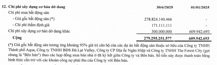 Hãng thép 37 năm tuổi được Novaland trả nợ bằng loạt bất động sản- Ảnh 2.