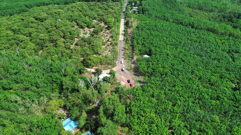 Đại Quang Minh muốn l&agrave;m &ldquo;trục xương sống&rdquo; d&agrave;i hơn 61km nối từ Đồng Xo&agrave;i đến đường V&agrave;nh đai 4 &nbsp;- TP.HCM- Ảnh 1.