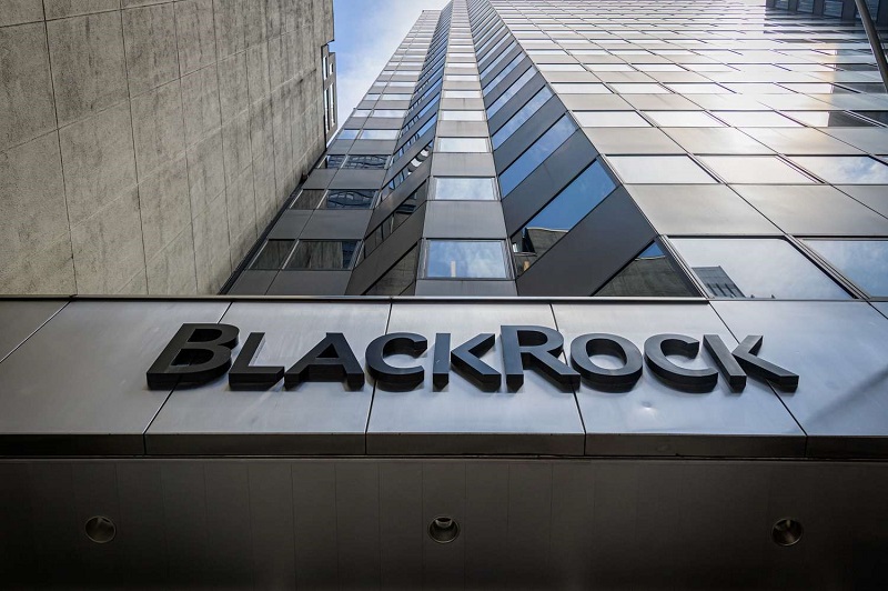 BlackRock - nhà quản lý tài sản lớn nhất thế giới: Ưu tiên vàng, cổ phiếu tăng trưởng... và thị trường quốc tế sau Fed hạ lãi suất- Ảnh 1.