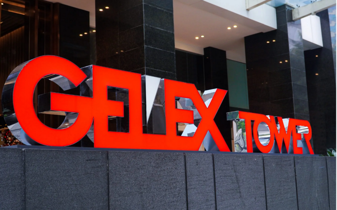 Mẹ CEO Gelex nâng sở hữu, mạnh tay rót gần 700 tỷ đồng khi cổ phiếu GEX lập đỉnh mới- Ảnh 1.