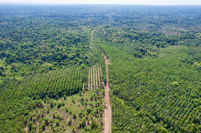 Bất động sản 24h: Phương án bồi thường cho người dân có đất bị thu hồi xây cầu Mã Đà- Ảnh 1.