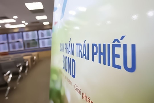 Thanh tra Chính phủ kết luận ACB, OCB, VIB, VPBank và MB chưa tuân thủ đầy đủ quy định khi phát hành trái phiếu doanh nghiệp- Ảnh 1.