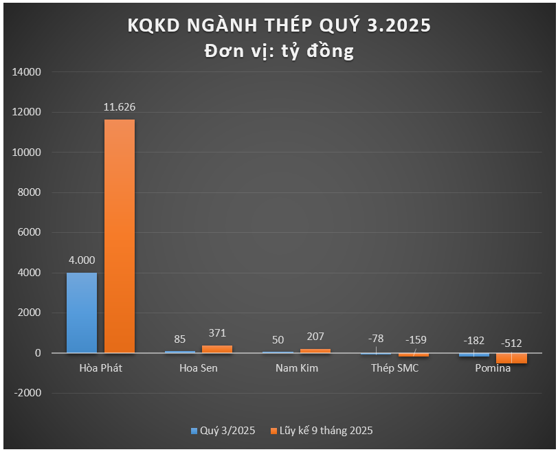 Bức tranh t&agrave;i ch&iacute;nh ng&agrave;nh th&eacute;p qu&yacute; 3/2025 - Ảnh 2.