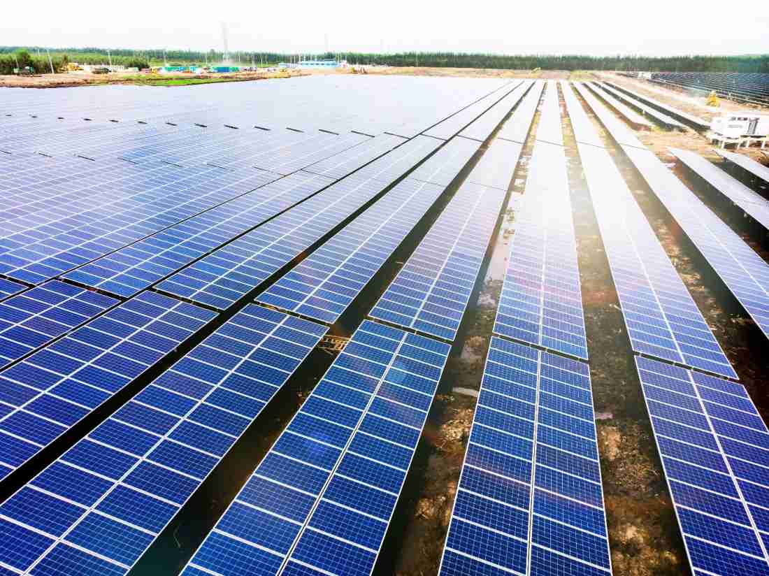 Bamboo Capital dự kiến họp cổ đông bất thường cuối tháng 12- Ảnh 1.