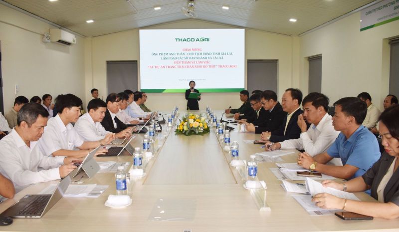 Thaco của tỷ phú Trần Bá Dương đang làm dự án nào tại Gia Lai?- Ảnh 1. Thaco của tỷ phú Trần Bá Dương đang làm dự án nào tại Gia Lai?- Ảnh 1.