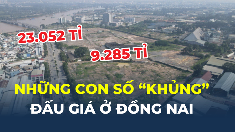 Những con số “khủng” từ khu đất sắp đấu giá ở Đồng Nai- Ảnh 1.