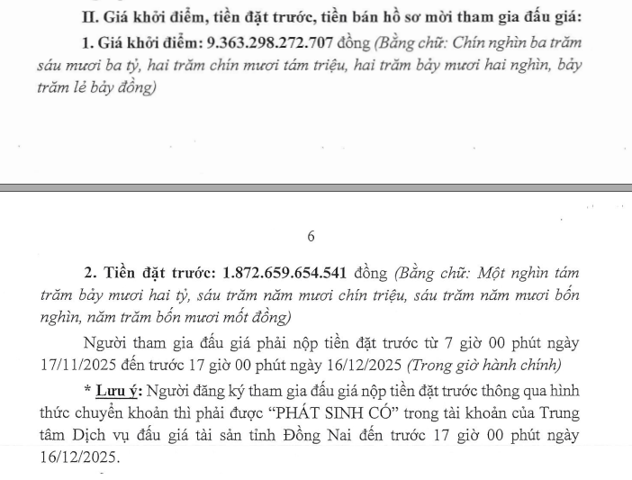 Những con số “khủng” từ khu đất sắp đấu giá ở Đồng Nai- Ảnh 2.