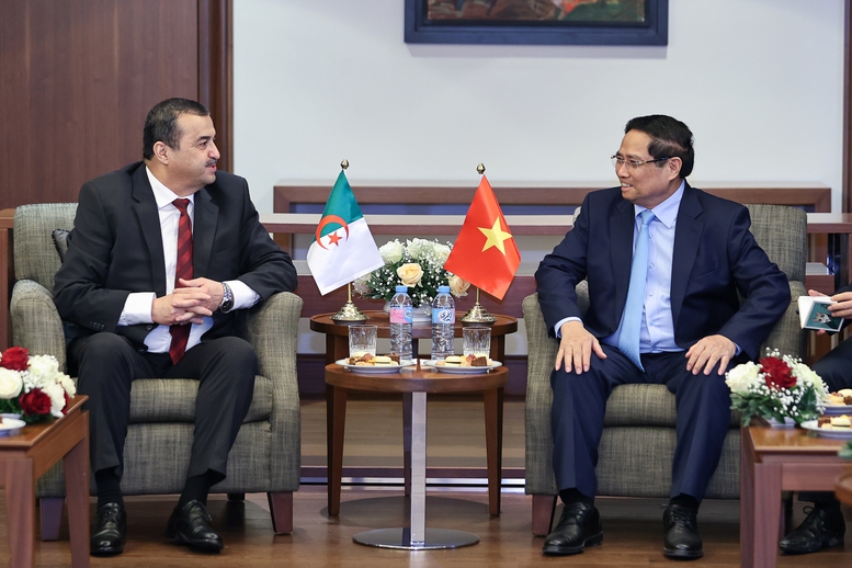 Thủ tướng đề nghị Bộ Dầu khí và Mỏ Algeria thúc đẩy đầu tư các dự án năng lượng, dầu khí- Ảnh 1.