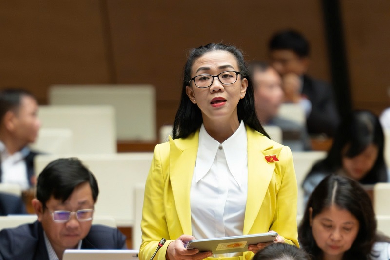 Việt Nam thuộc nhóm đầu về trữ lượng đất hiếm, đại biểu Quốc hội đề nghị kiểm soát nghiêm ngặt- Ảnh 1.