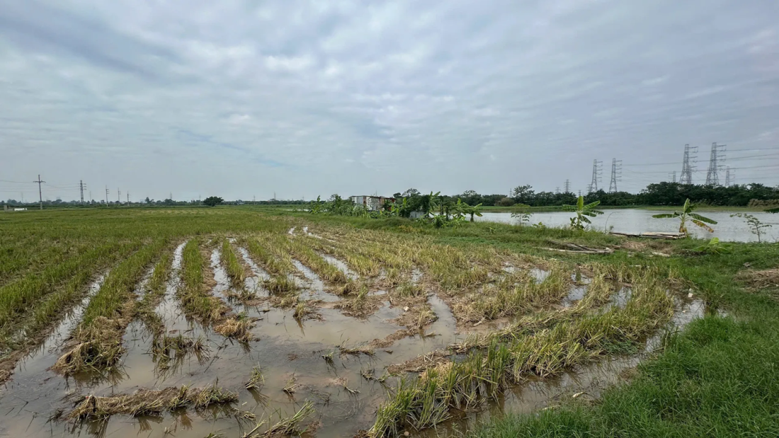 Cụm c&ocirc;ng nghiệp l&agrave;ng nghề H&ograve;a B&igrave;nh giai đoạn 1 H&agrave; Nội- Ảnh 3.