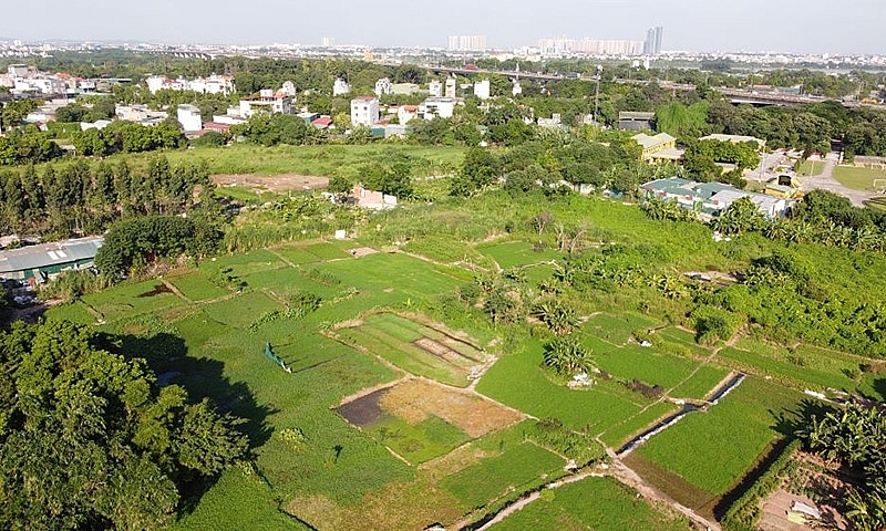 Trường hợp nào không được bồi thường về đất khi Nhà nước thu hồi đất từ 2026?- Ảnh 1. Trường hợp nào không được bồi thường về đất khi Nhà nước thu hồi đất từ 2026?- Ảnh 1.