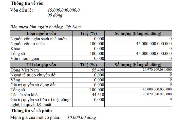 VinSpeed của tỷ phú Phạm Nhật Vượng bất ngờ tăng vốn lên 45.000 tỷ đồng- Ảnh 1. VinSpeed của tỷ phú Phạm Nhật Vượng bất ngờ tăng vốn lên 45.000 tỷ đồng- Ảnh 1.