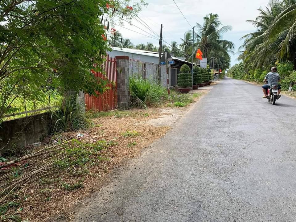 Tin vui d&acirc;n Vĩnh Long: Sắp thi c&ocirc;ng tuyến đường hơn 54km vắt ngang tỉnh Tr&agrave; Vinh cũ- Ảnh 3.